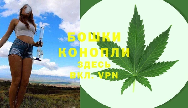 ГАЛЛЮЦИНОГЕННЫЕ ГРИБЫ Баксан