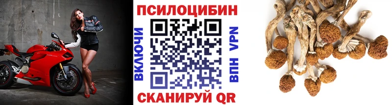 Псилоцибиновые грибы GOLDEN TEACHER  Шагонар 